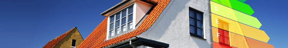 Banner - Florian Mayerhofer